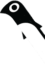 Penguin Illustration